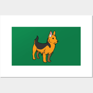 Australian Terrier Posters and Art